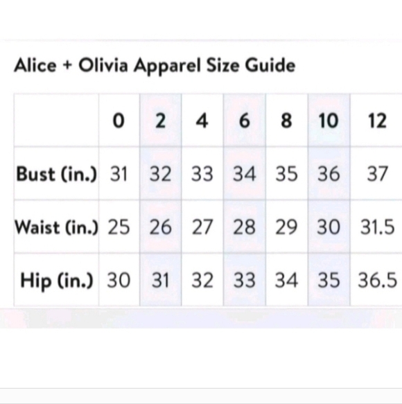 Alice + Olivia Black Mini Dress with Silver Accents - Picture 16 of 16